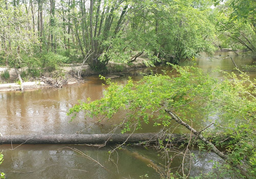 Le belvedère du Ciron