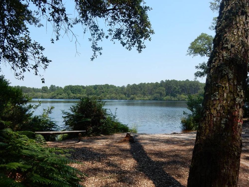 Lieu : Etang de Moliets