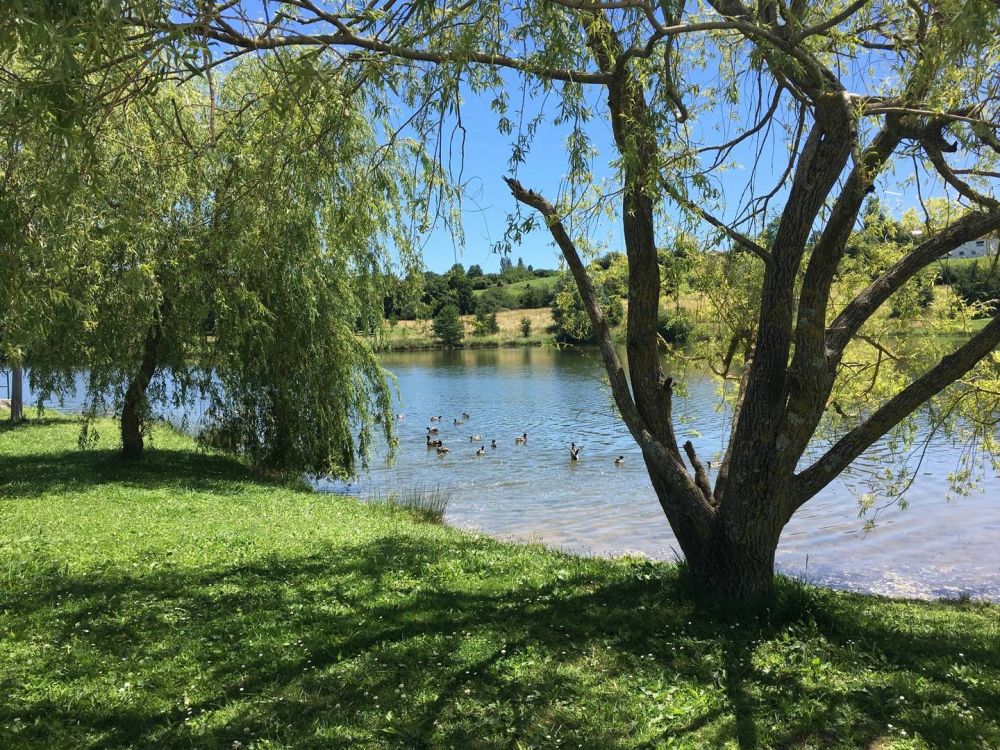 Lieu : Lac de l'Y