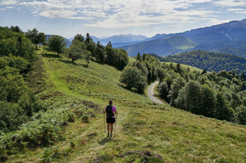 Lieu : Panorama du plateau d'altitude d'Issarbe