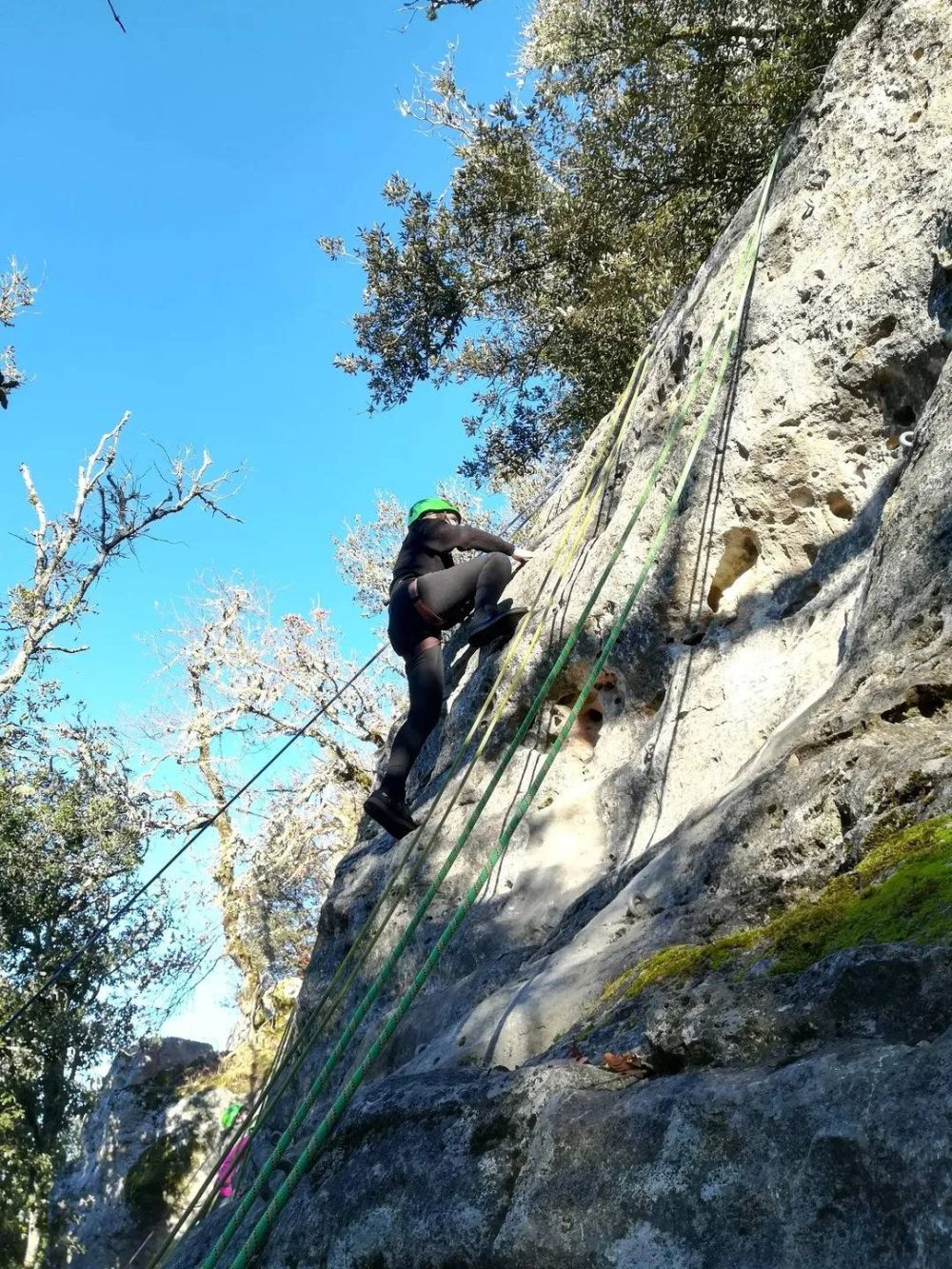 Falaise de la forêt départementale de Campagne