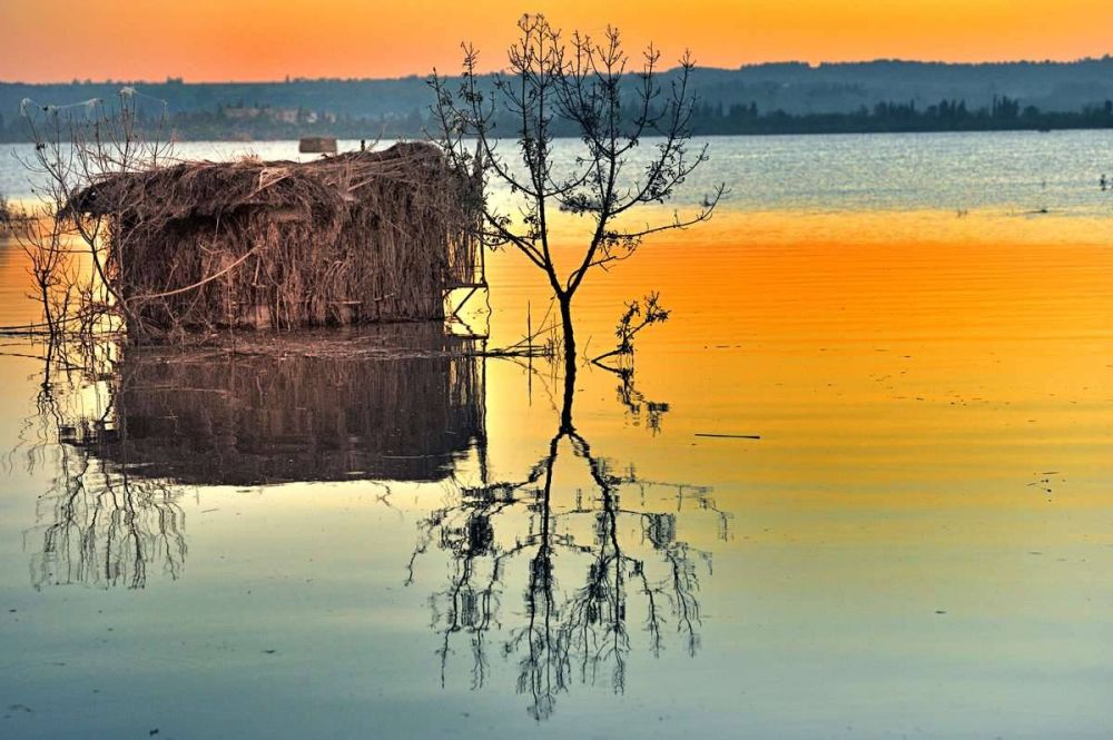 Lieu : ETANG DE CAPESTANG
