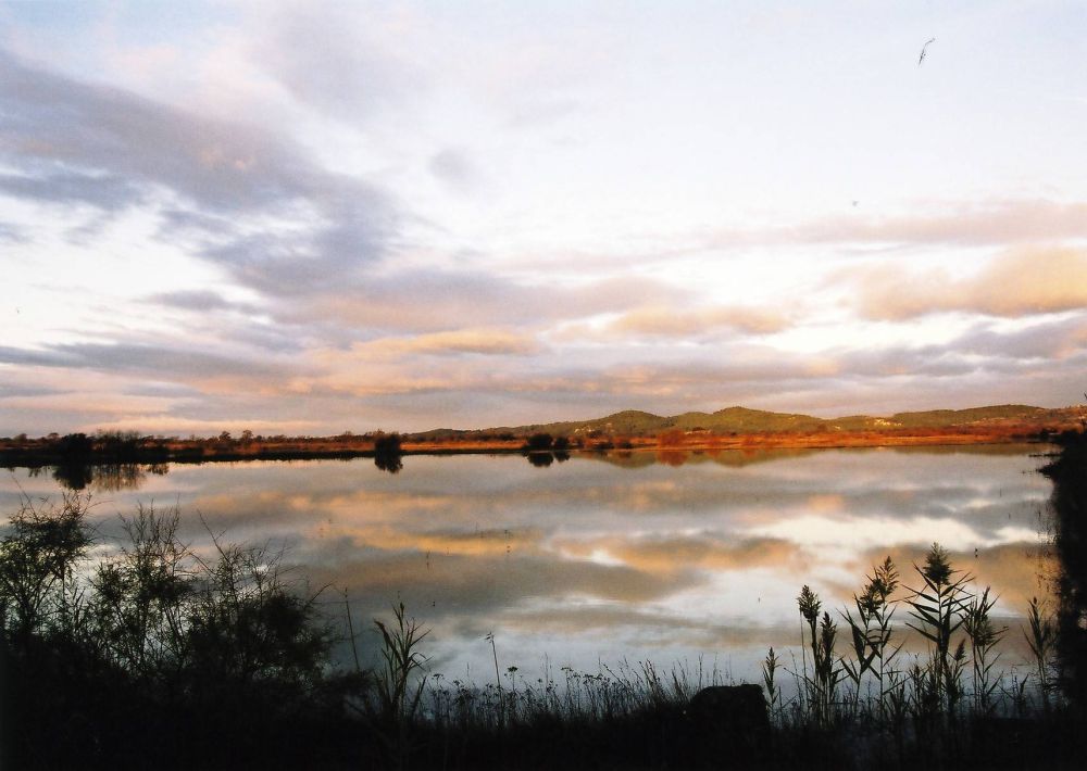 Lieu : ETANG DE LA MATTE