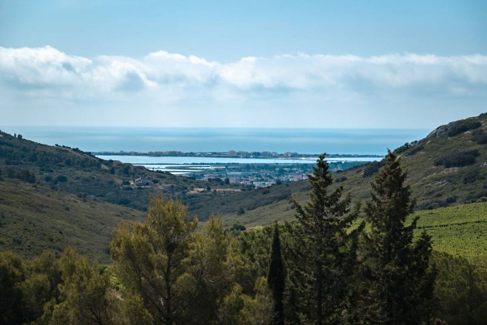 Lieu : LE MASSIF DE LA GARDIOLE