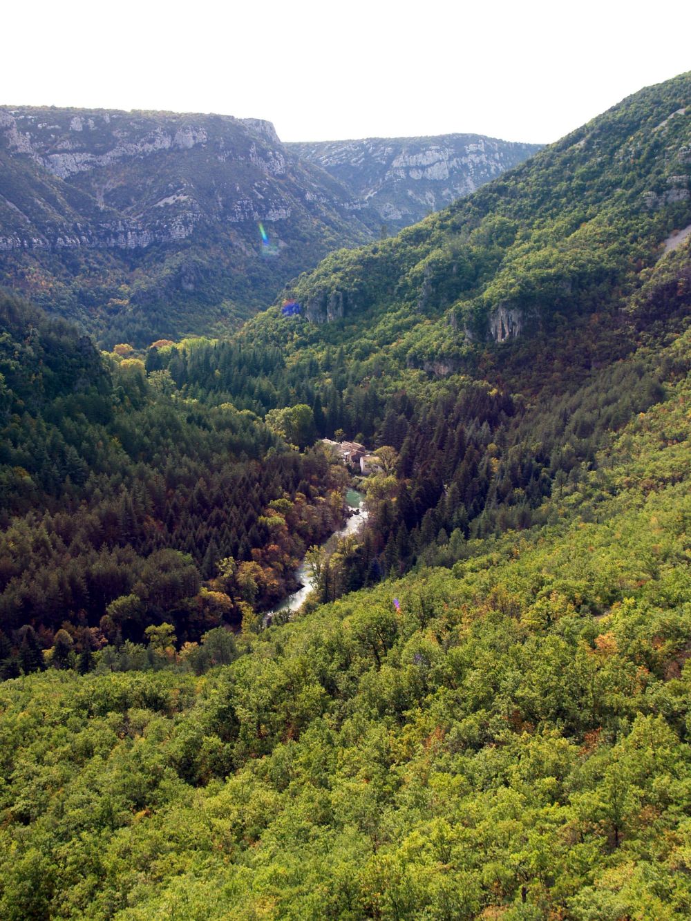 GORGES DE LA VIS