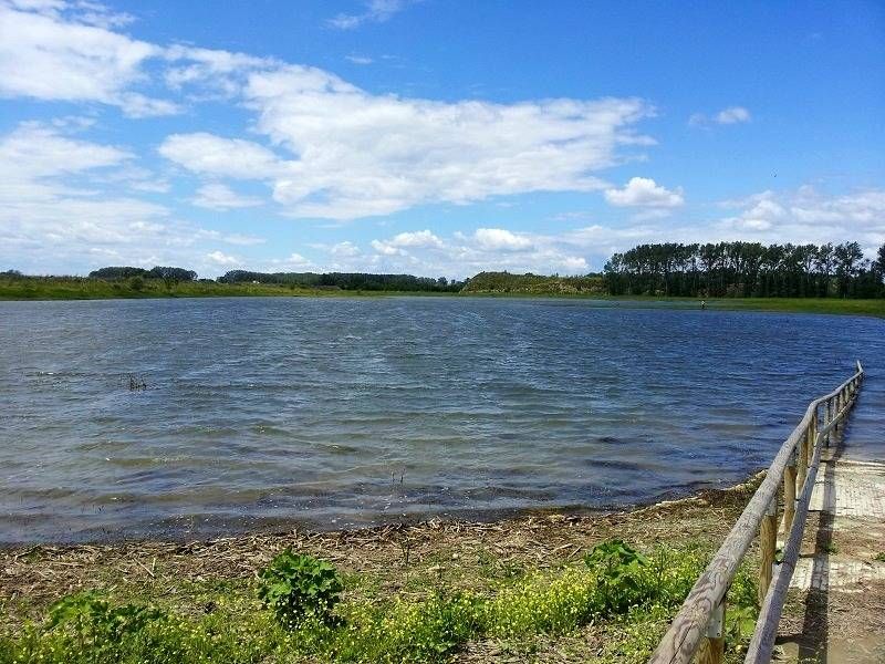 Lieu : LAC DES GARGASSES