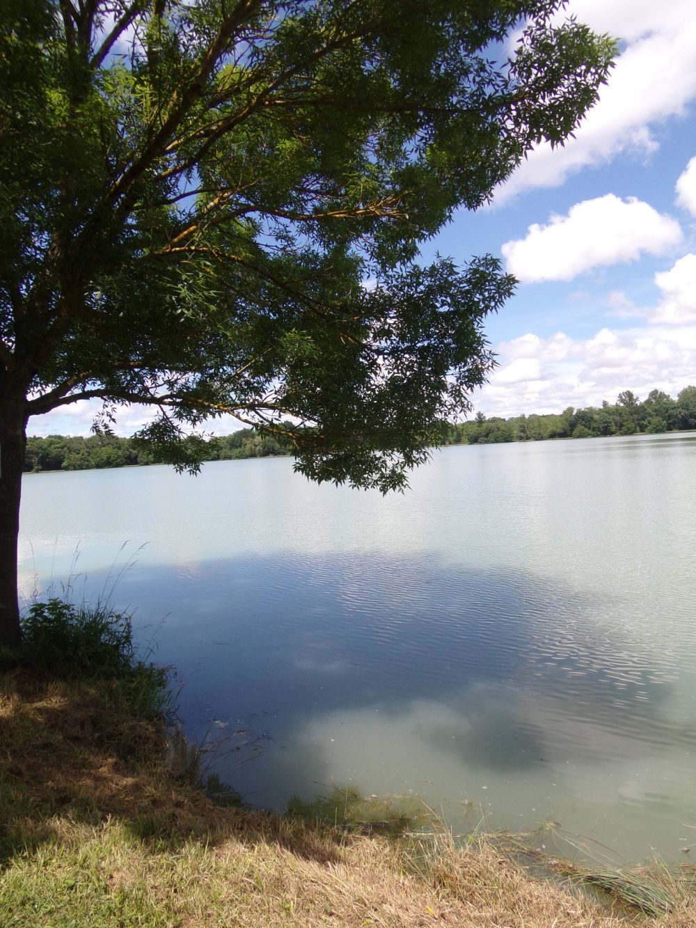 Lieu : LAC DE PEYSSIES