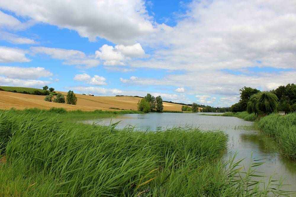 Lieu : LAC DE GARAC