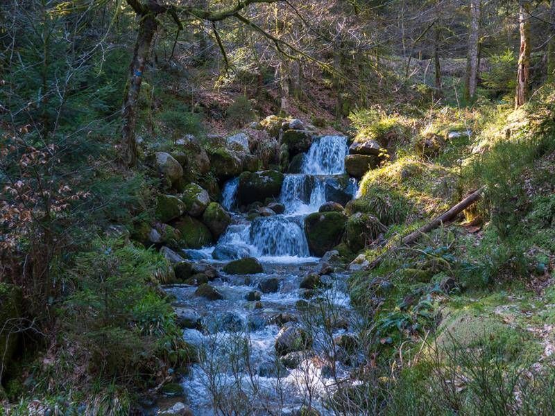 Lieu : Cascade de Morbieux