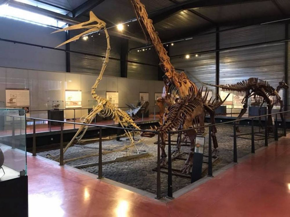 Lieu : MUSÉE DES DINOSAURES