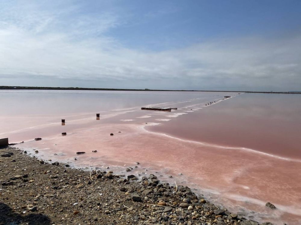 Lieu : LE SALIN DE L'ÎLE SAINT-MARTIN