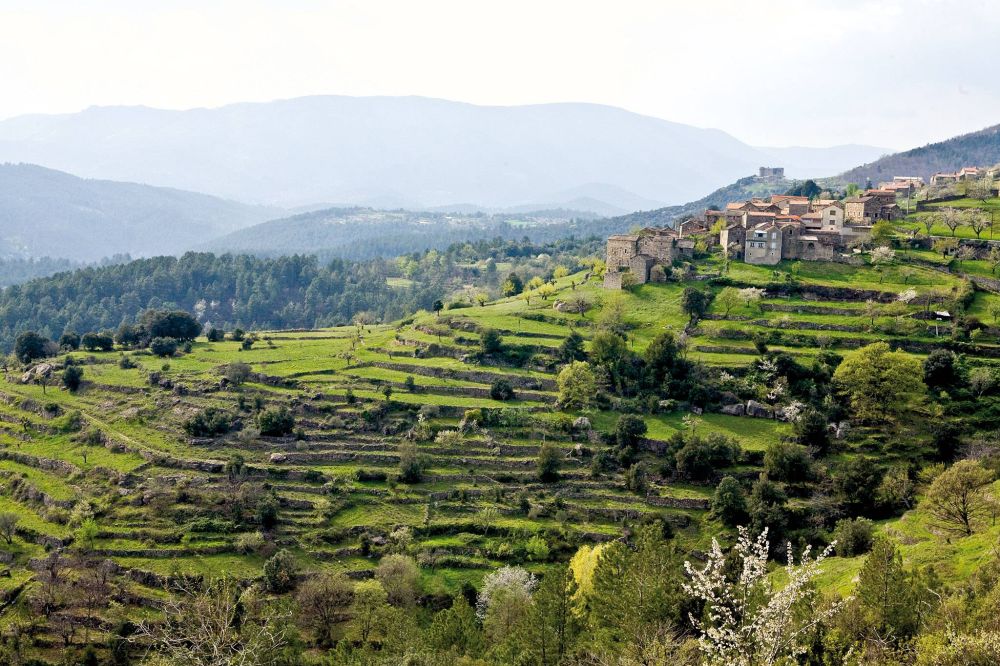 LES BANCELS CEVENOLS