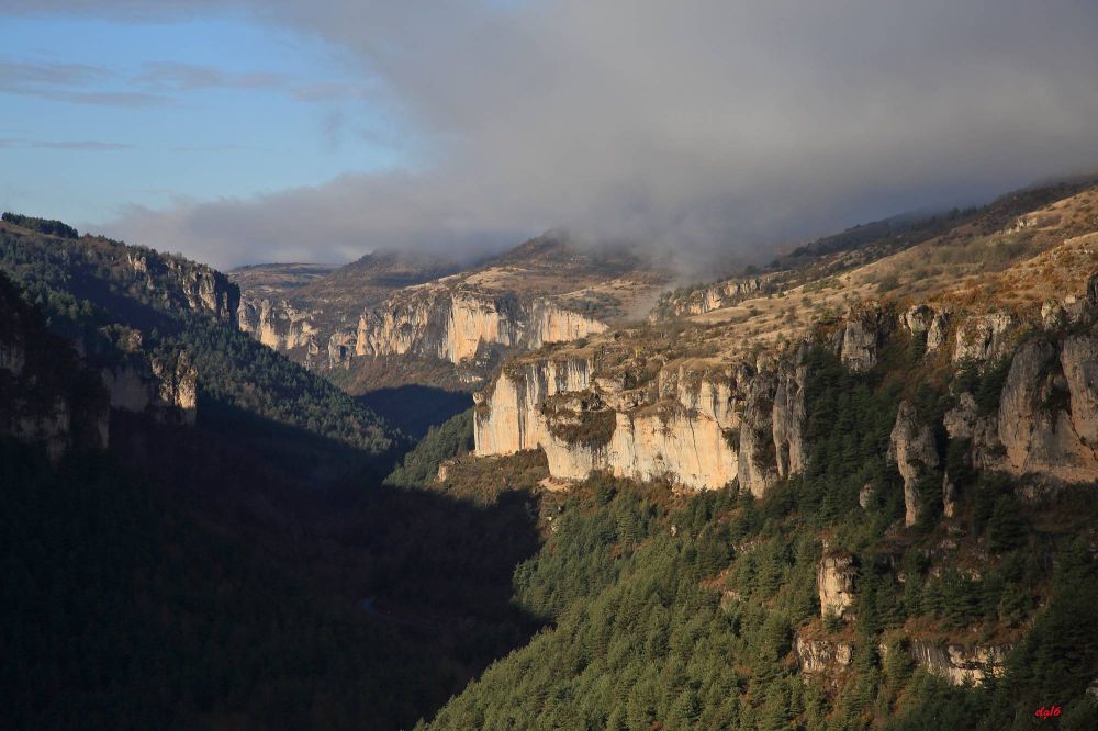 LES GORGES DE LA JONTE