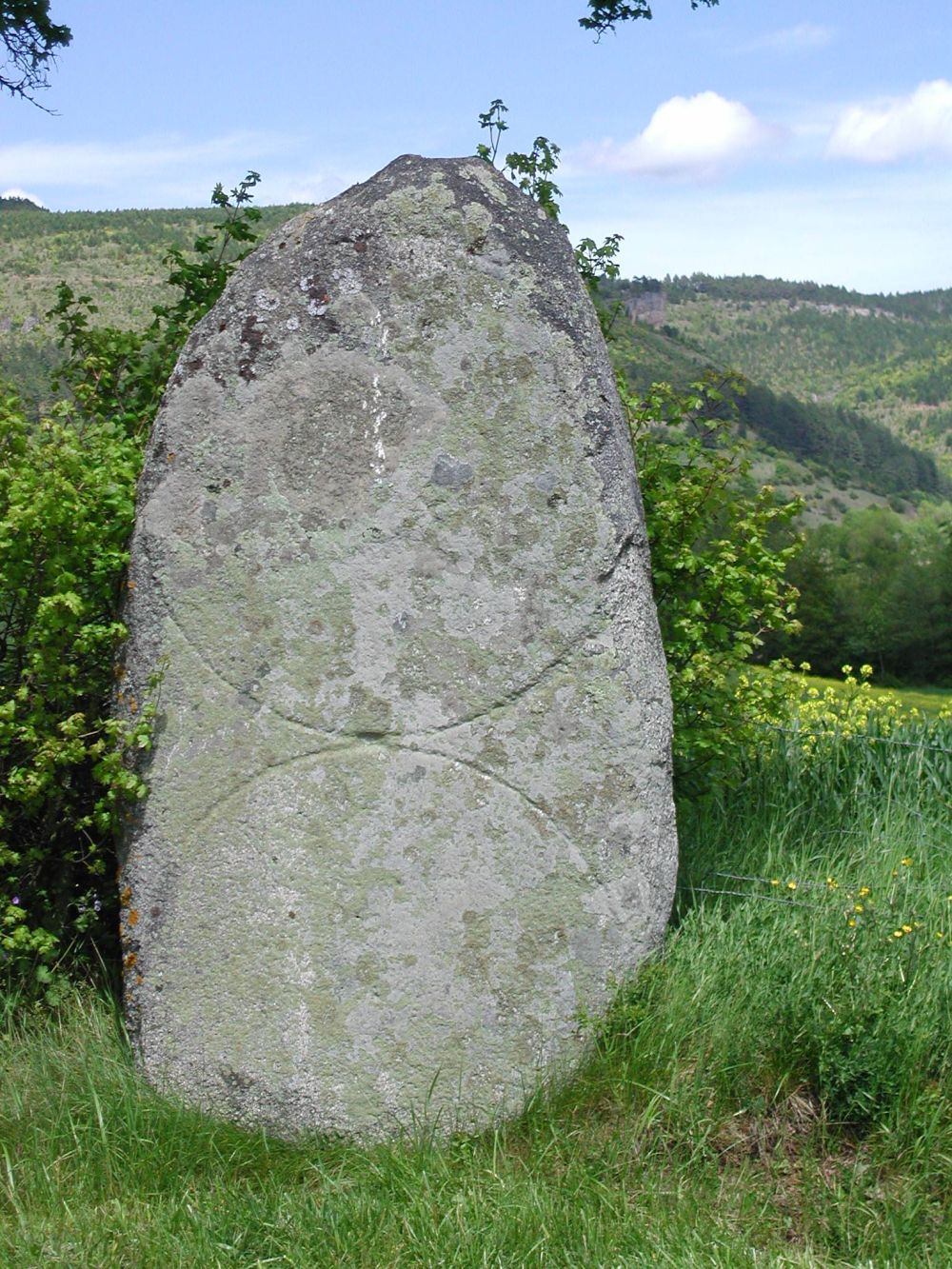 MENHIR DU BOY