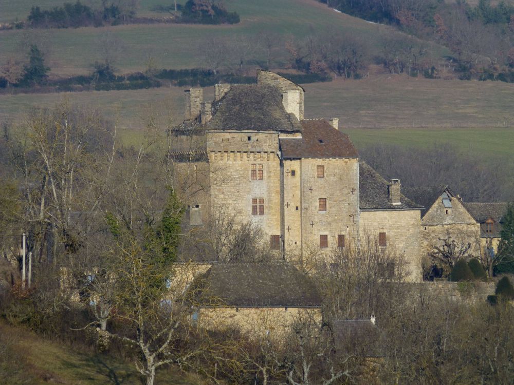 Lieu : CHATEAU DE MONTJEZIEU