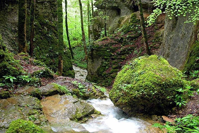 GORGES DE LA VINGEANNE