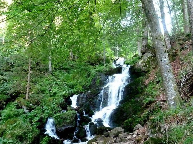 Lieu : Cascade de la Serva