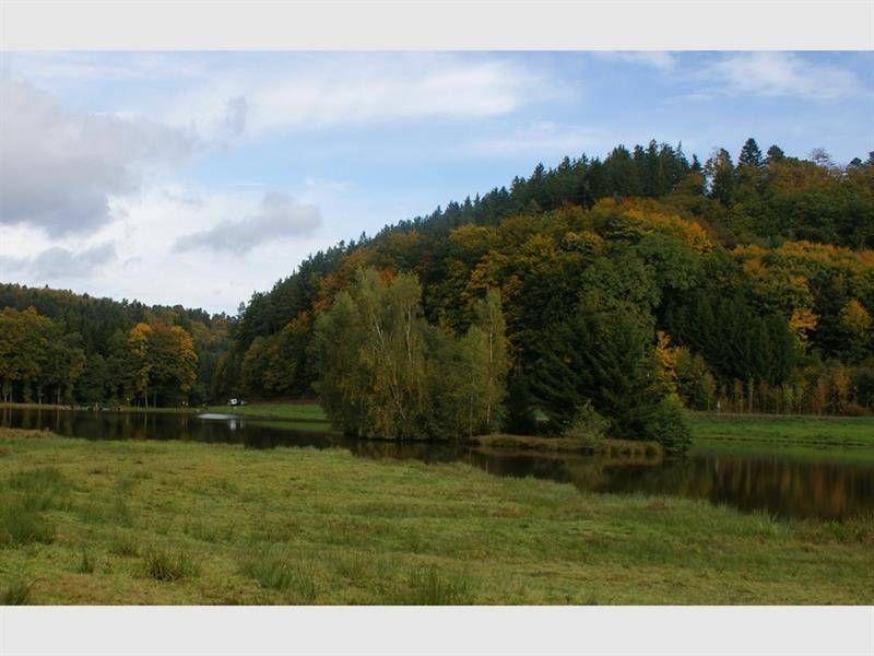 Lieu : Etang du col de Steige