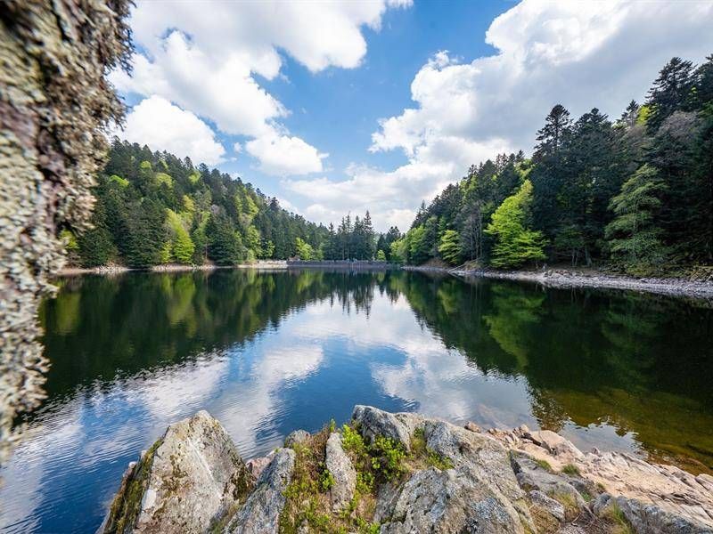 Lac de l'Altenweiher