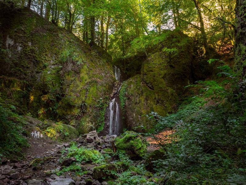 Lieu : Cascade de Soultzbach
