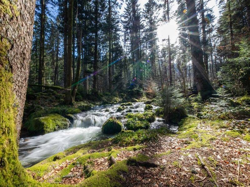 Cascade de la Wormsa