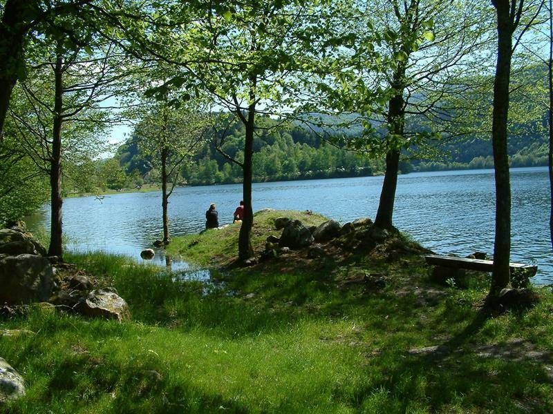 Lieu : Lac de Kruth-Wildenstein