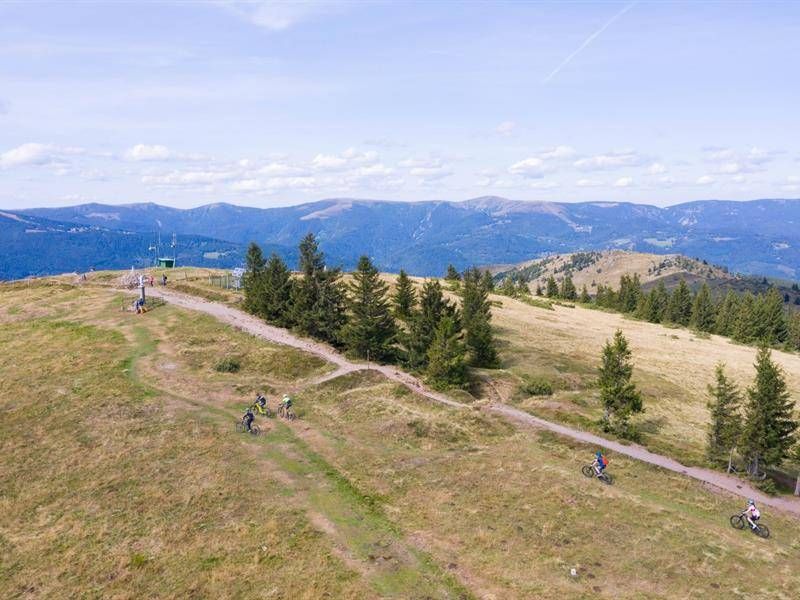 Lieu : Le Petit Ballon - Vallée de Munster