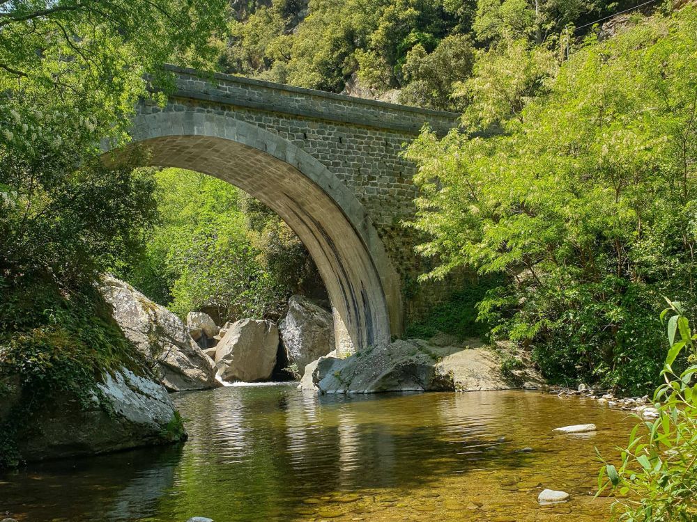 Lieu : LE MONDONY