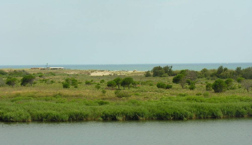 Lieu : PLAGE SUD