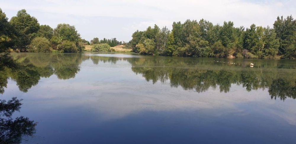 Lieu : LE LAC DES BOUZIGUES