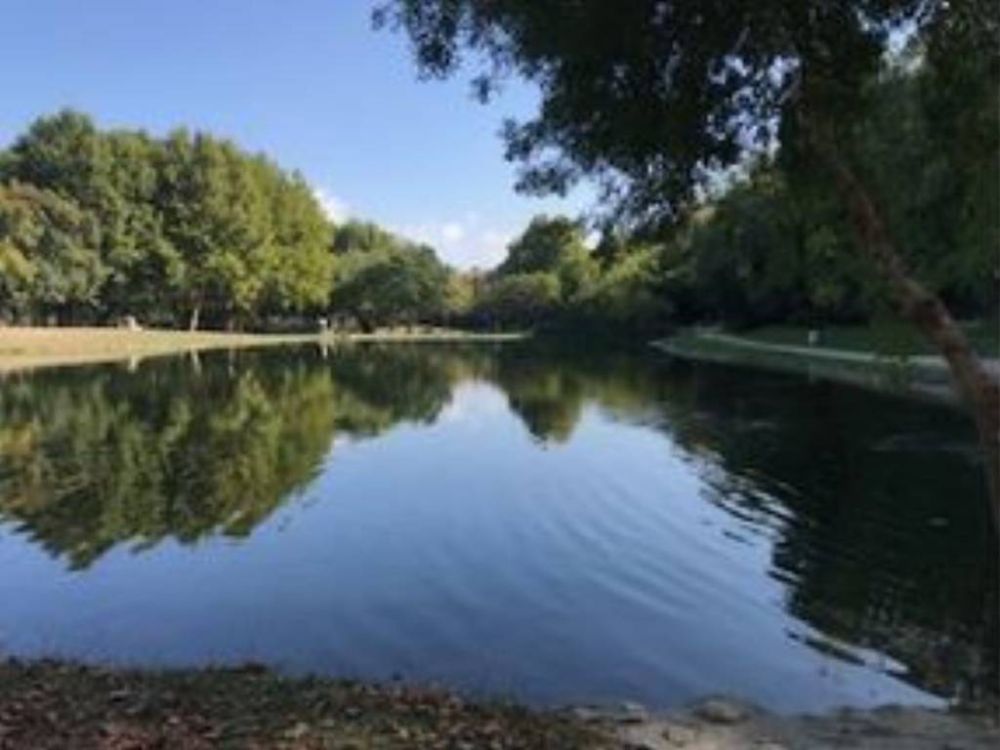 Lieu : LAC DU SOLER