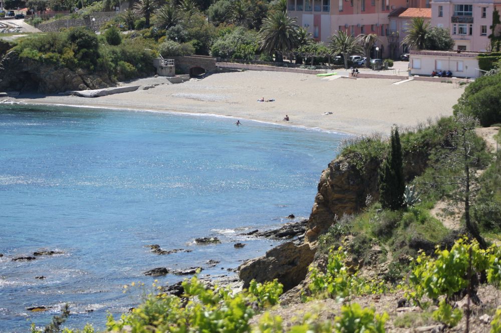 Lieu : PLAGE DES GRANDES ELMES