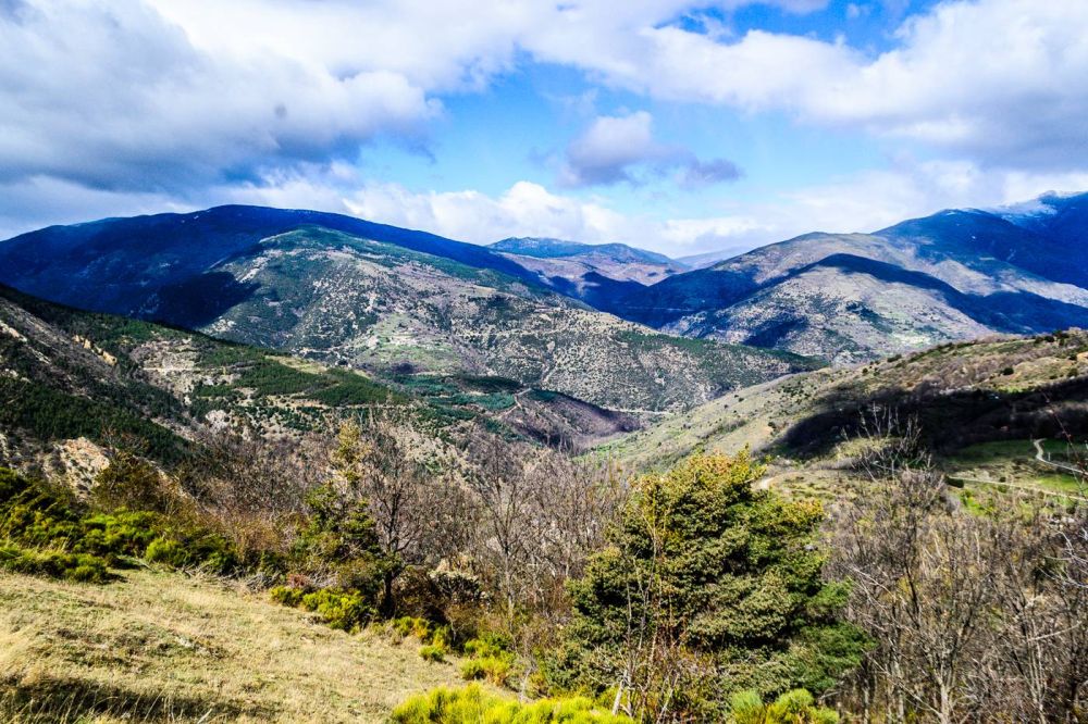 Lieu : RESERVE NATURELLE REGIONALE DE NYER