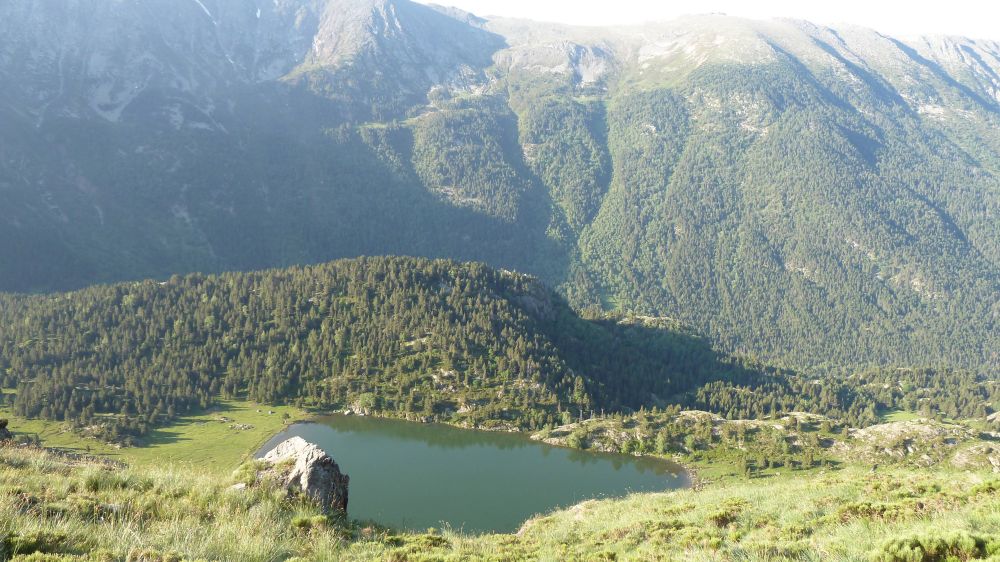 Lieu : ETANG DE FONT VIVE