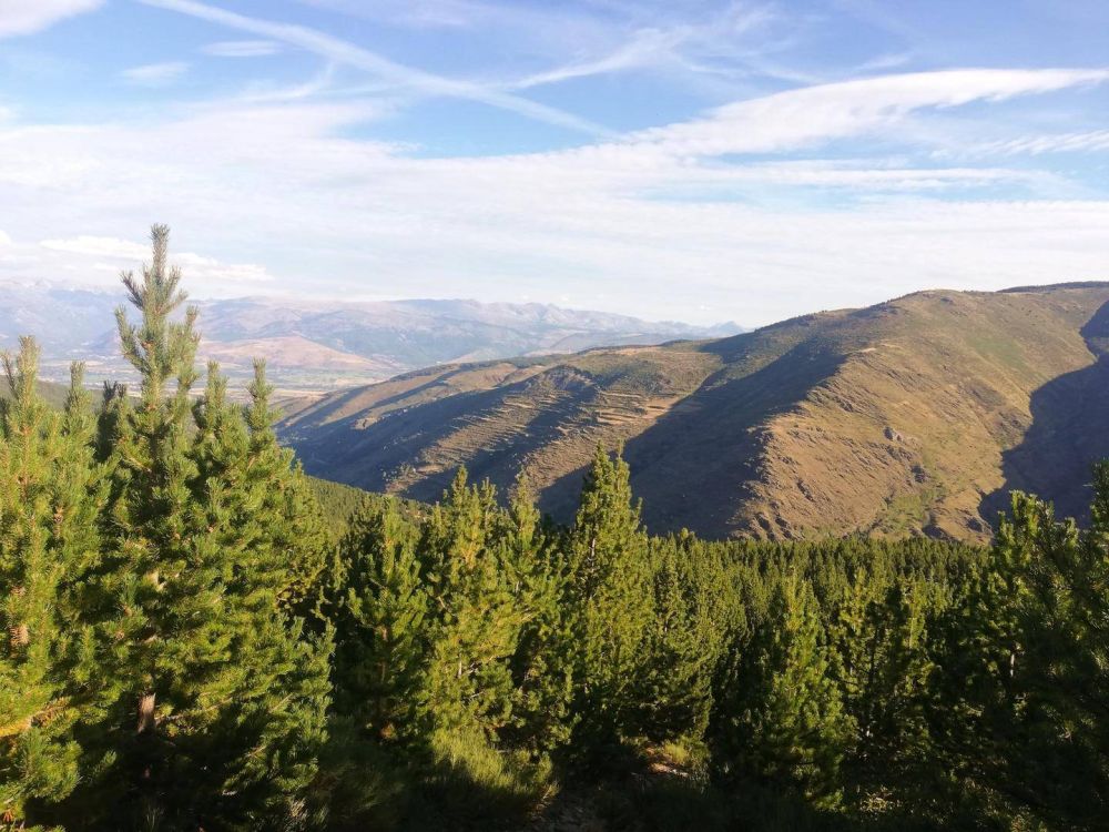 Lieu : VALLEE DE VALCEBOLLERE
