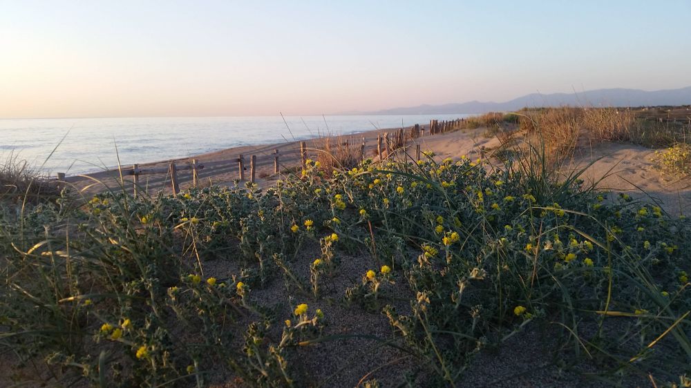 Lieu : PLAGE NORD