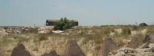 Lieu : Plage de Carteau