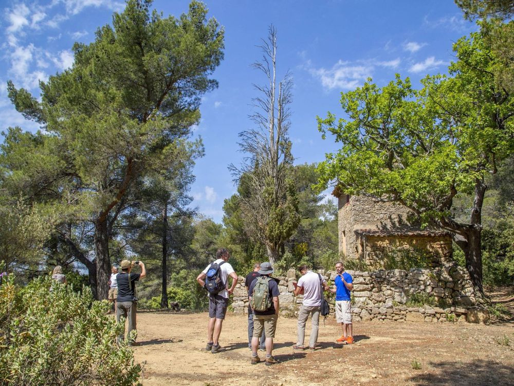 Carrières de Bibémus