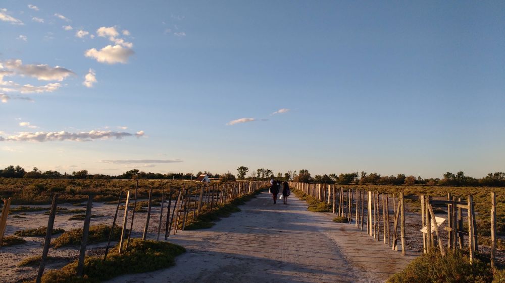 Lieu : Musée de la Camargue