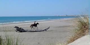 Lieu : Plage Napoleon