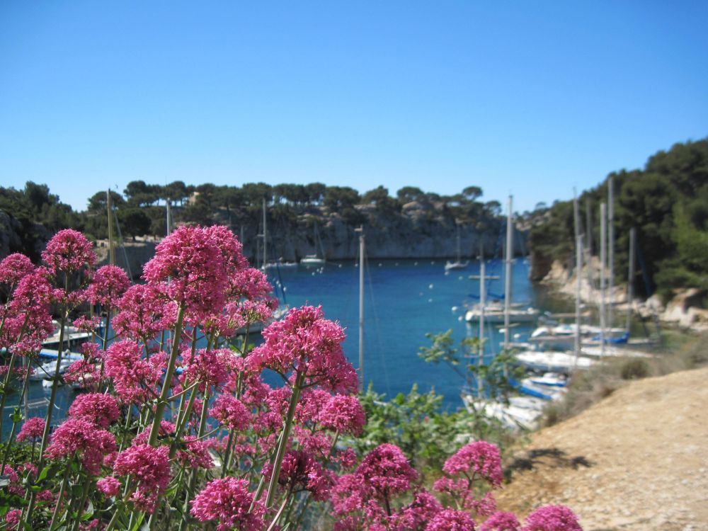 Lieu : Calanque de Port Miou