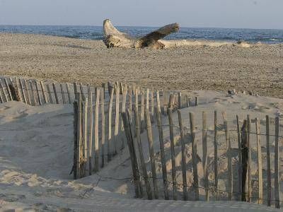 Lieu : La plage d'Arles - Plage de Piémanson