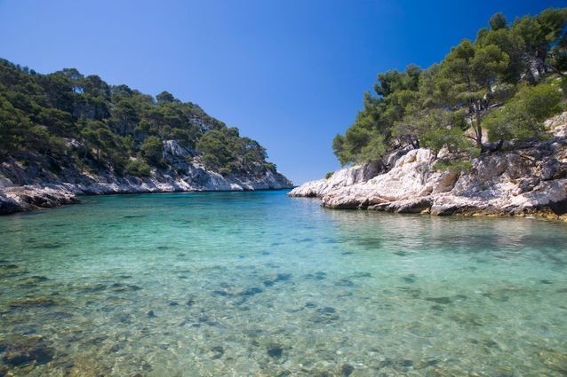 Lieu : Calanque de Port Pin