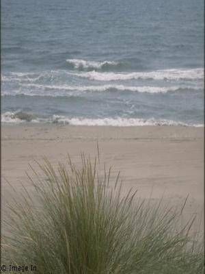 Lieu : Plage La Brise de Mer