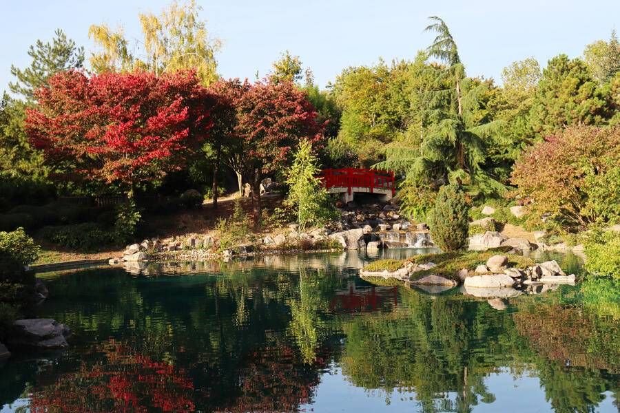Jardin japonais
