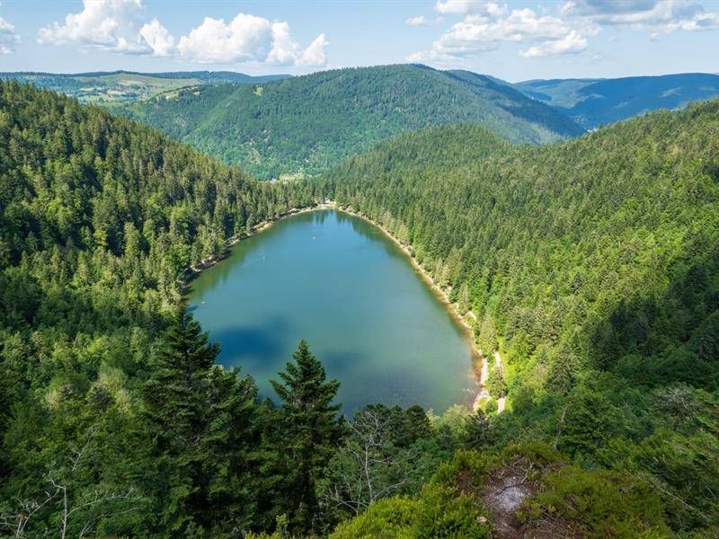 Lieu : Le lac des corbeaux