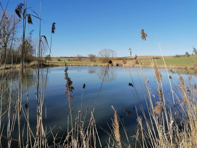 Lieu : Marais de Vittoncourt