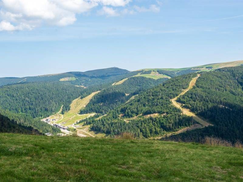 La chaume des champis