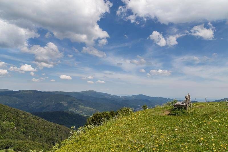 Lieu : Le Drumont