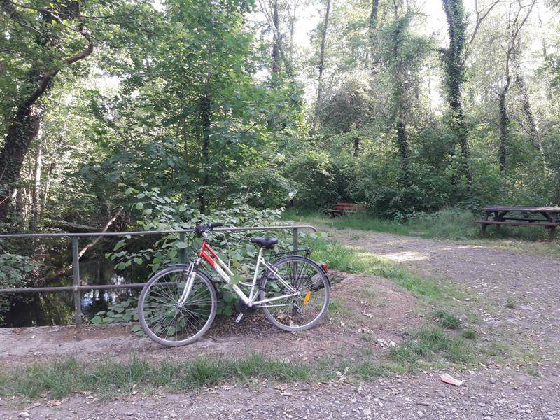 Randonnée : Circuit cyclable transfrontalier Marckolsheim - Sasbach a.K. - Diebolsheim
